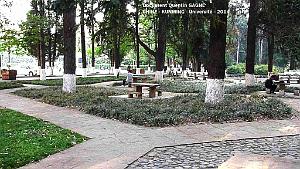 102-Quentin - Kunming 